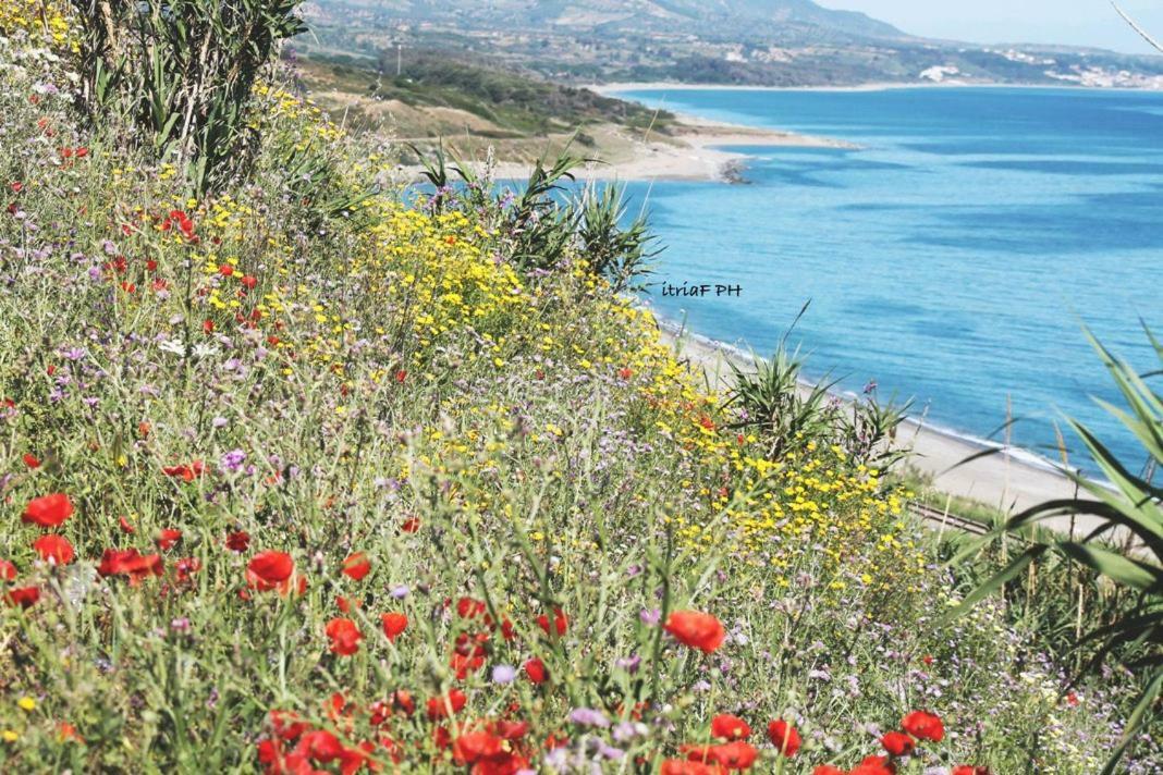 הוילה Cirò Marina Climatizzato In Centro A 100M Dal Mare מראה חיצוני תמונה
